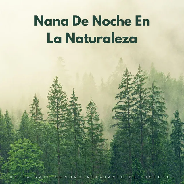 Nana De Noche En La Naturaleza: Un Paisaje Sonoro Relajante De Insectos