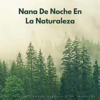 Nana De Noche En La Naturaleza: Un Paisaje Sonoro Relajante De Insectos by 