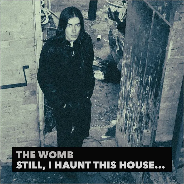 Still, I Haunt This House...