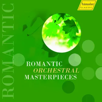 Orchestral Music (Romantic) - Mendelssohn, Felix / Schubert, F. / Grieg, E. / Bruckner, A. / Mahler, G. (Romantic Orchestral Masterpieces) by Klaus-Peter Hahn