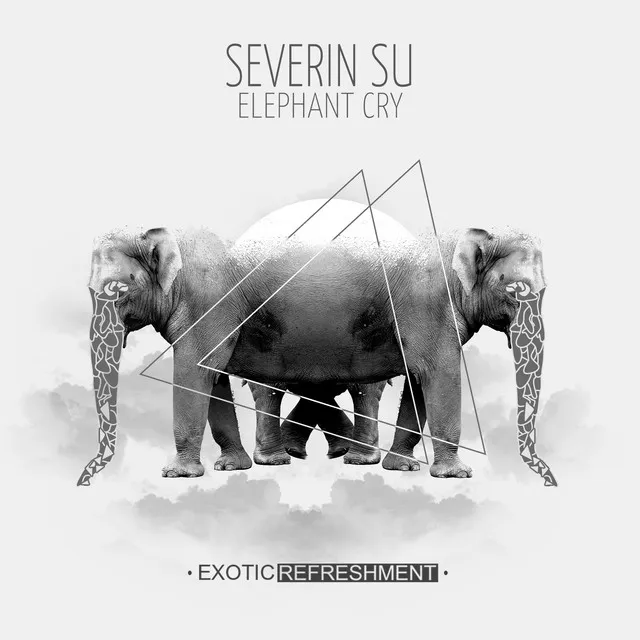 Elephant Cry - Baile Remix