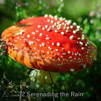 32 Serenading the Rain by Thunderstorm Meditation