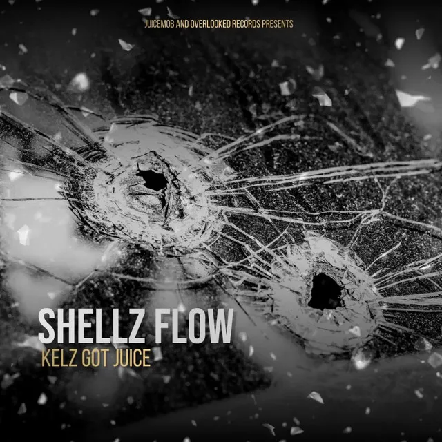 Shellz Flow