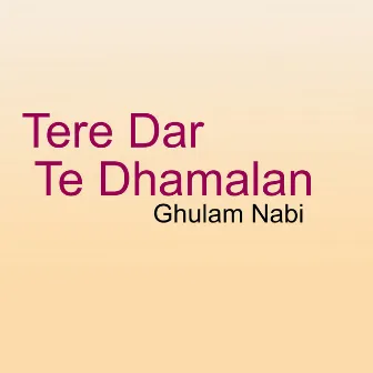 Tere Dar Te Dhamalan by Unknown Artist