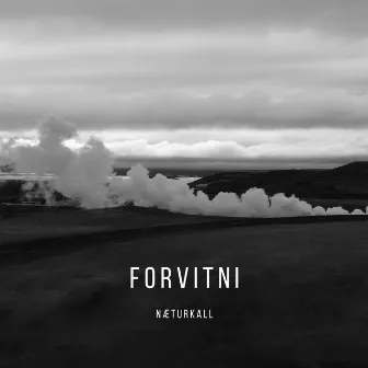 Forvitni by Næturkall