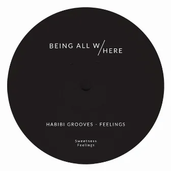 Feelings by Habibi Grooves