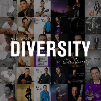 Diversity, Vol. 4: Guitar Aficionados by Rob Tardik