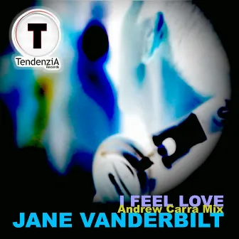 I Feel Love by Jane Vanderbilt