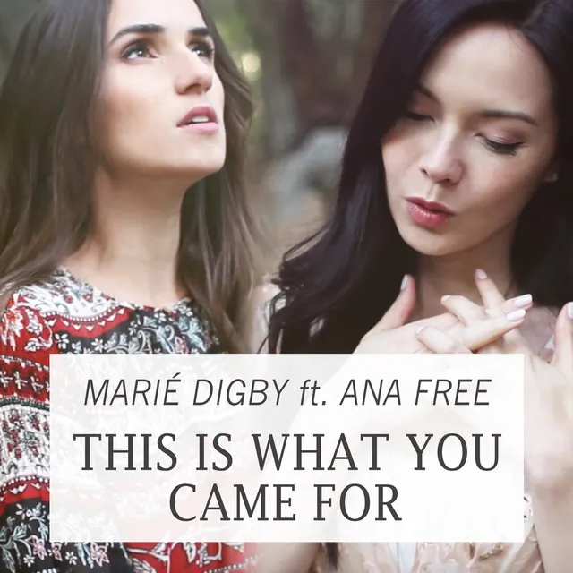 This Is What You Came For (feat. Ana Free)