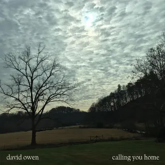 Calling You Home by David Owen