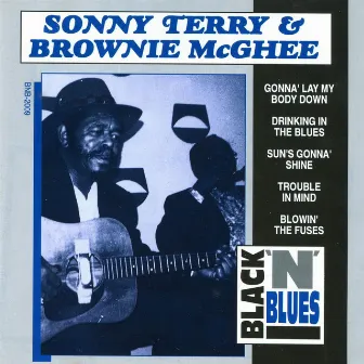 Sonny Terry & Brownie McGhee by Unknown Artist