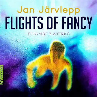 Flights of Fancy by Jan Järvlepp