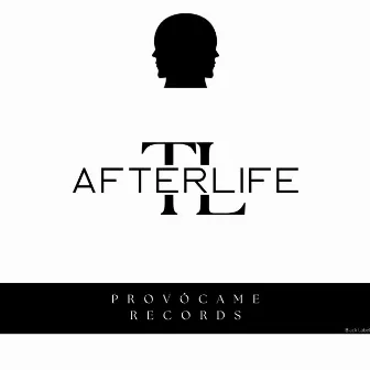 Afterlife by Tony Levy