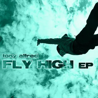 Fly High by Tony Alfred