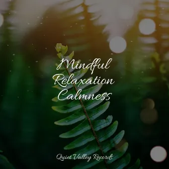 Mindful Relaxation Calmness by Pure Serenity Spa Music & Massage Collective Garden & Zen Relaxation Meditation