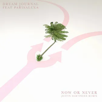 Now Or Never (feat. ParisAlexa) [Justin Hartinger Remix] by Dream Journal