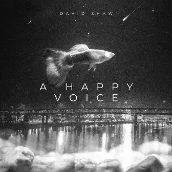 A Happy Voice by David Shaw