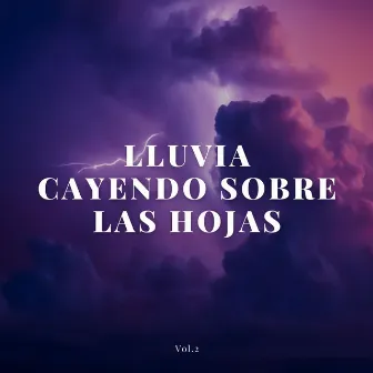 Lluvia Cayendo Sobre Las Hojas Vol. 2 by Colectivo de música curativa