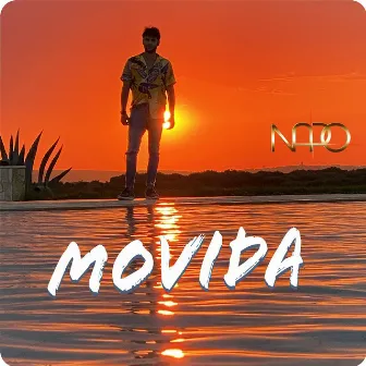 Movida by Napo