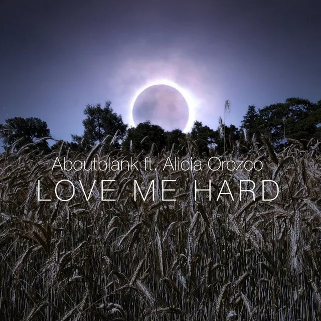 Love Me Hard - Extended Mix