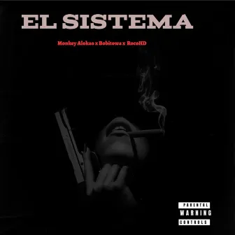 SISTEMA by Unknown Artist