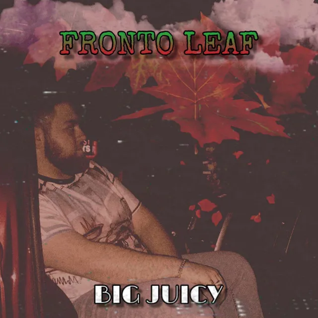 Fronto Leaf