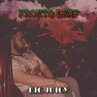 Fronto Leaf by Big Juicy