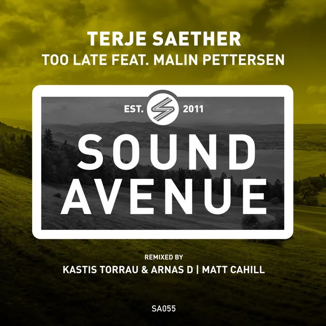 Too Late feat. Malin Pettersen - Kastis Torrau & Arnas D Remix