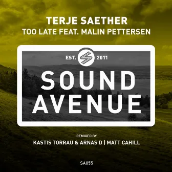 Too Late feat. Malin Pettersen by Terje Saether