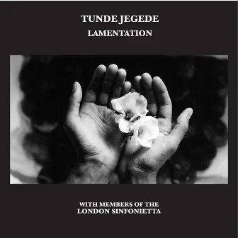 Lamentation by Tunde Jegede