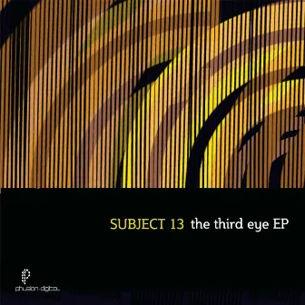 The 3rd Eye by Subject 13