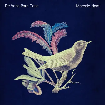 De Volta Para Casa by Marcelo Nami