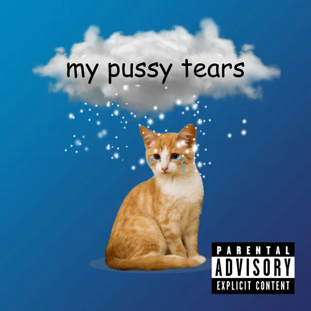 my pussy tears