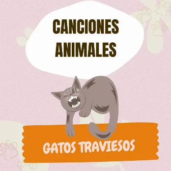 Gatos Traviesos by Canciones Animales