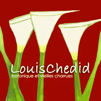 Botanique et Vieilles Charrues by Louis Chedid