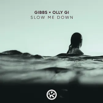 Slow Me Down by Gibbs