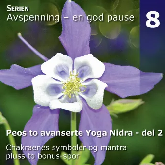 Peos to Avanserte Yoga Nidra Avspenninger, Del 2 by Peo