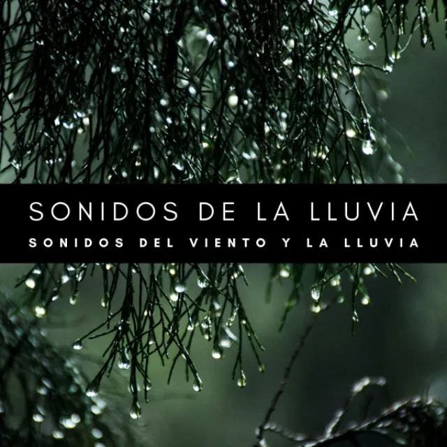 Sonidos De La Lluvia: Sonidos Del Viento y La Lluvia