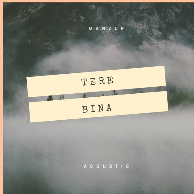 Tere Bina (Acoustic)