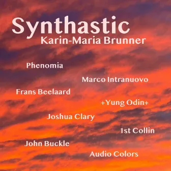 Synthastic by Karin-Maria Brunner