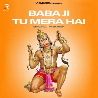 Baba Ji Tu Mera Hai by Vikrant Pal