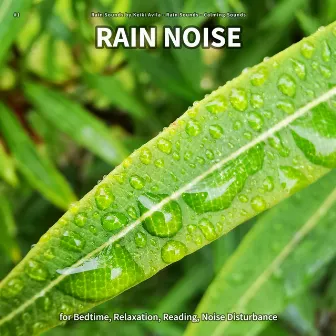 #1 Rain Noise for Bedtime, Relaxation, Reading, Noise Disturbance by Rain Sounds by Keiki Avila