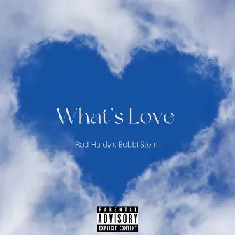 What’s Love by Bobbi Storm