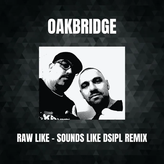 Raw Like - Sounds Like Dsipl Remix