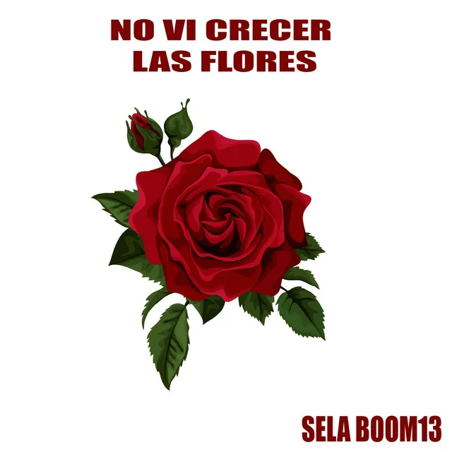 No Vi Crecer las Flores