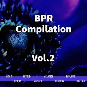 BPR Compilation, Vol. 2 by R10(Al)