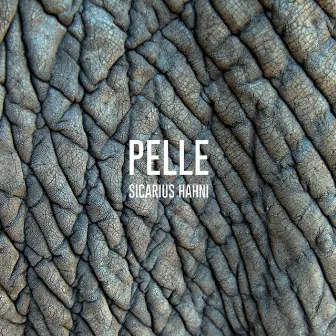 Pelle by Sicarius Hahni