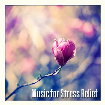 Music for Stress Relief – Sounds of Nature, Relaxation Study, Reiki, Spa, Massage, Deep Sleep, Meditation, Yoga by Anti Stress Academy