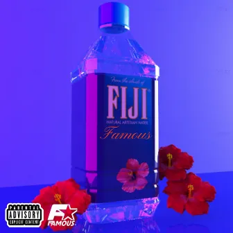 FIJI by Famous