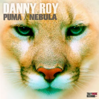 Puma / Nebula by Danny Roy